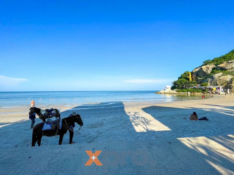 Beach House, Prachuap Khiri Khan, Nong Kae, Hua Hin, Prachuap Khiri Khan, 3 Bedrooms, 220 sqm, Townhouse For Sale, by Kamonwan Netsung, 500339511 - DDproperty.com