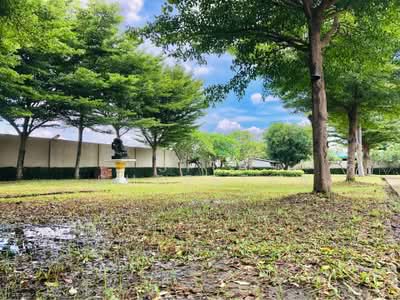 ขาย - บ้าน 3-ห้องนอน, ชลบุรี