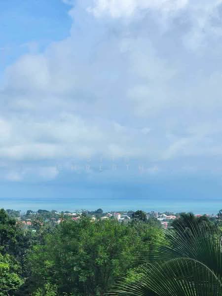 3-BR Townhouse, Surat Thani, Bo Put, Ko Samui, Surat Thani, 3 Bedrooms, 230 sqm, Townhouse For Sale, by Sita Shrestha, 500339930 - DDproperty.com