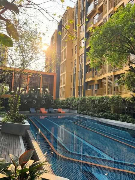 The Base Sukhumvit 50, Bangkok, Soi Roem Charoen 1, Sukhumvit 50 Road, Phra Kanong, Khlong Toei, Bangkok, 1 Bedroom, 32 sqm, Condo For Rent, by Praewpakar Soontawong, 500340050 - DDproperty.com