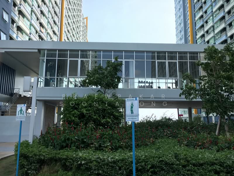 Lumpini Park Beach Jomtien, Chon Buri (Pattaya), Jomtiensaineung Rd, Na Kloe, Bang Lamung (Pattaya), Chon Buri (Pattaya), 1 Bedroom, 43 sqm, Condo For Rent, by Praewpakar Soontawong, 500340160 - DDproperty.com