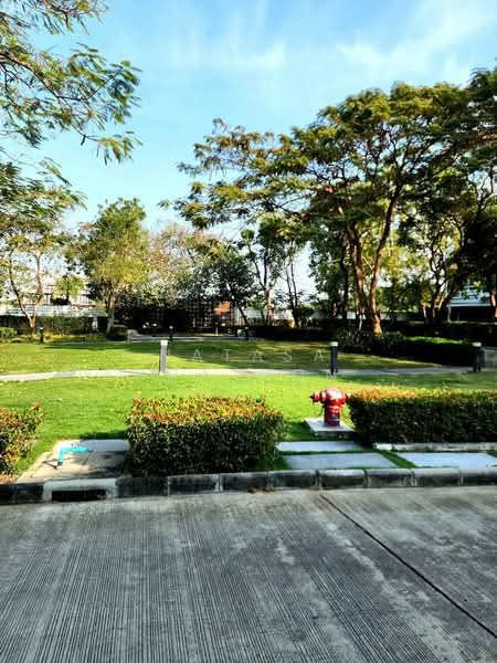 The Ricco Town Watcharapol, Bangkok, Ruammit Pattana, Khlong Tan Nuea, Tha Rang, Bang Khen, Bangkok, 3 Bedrooms, 170 sqm, Townhouse For Sale, by Natasa Techathonthanakhun, 500340166 - DDproperty.com