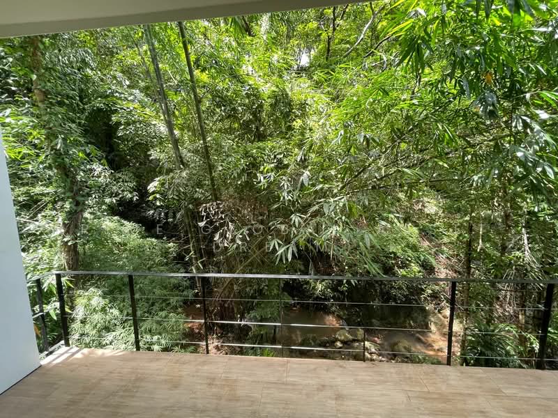 Karon Butterfly, Phuket, Karon, Muang Phuket, Phuket, 1 Bedroom, 1 sqm, Condo For Rent, by Prime Global Asset (Dream), 500340368 - DDproperty.com