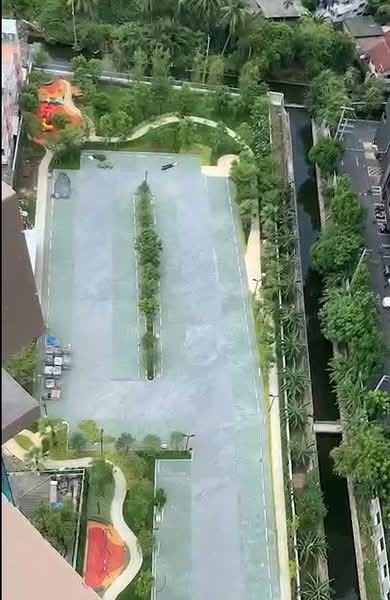 Supalai Veranda Phasi Charoen Station : ศุภาลัย เวอเรนด้า สถานีภาษีเจริญ, กรุงเทพ, ซอยเพชรเกษม 56, บางหว้า, ภาษีเจริญ, กรุงเทพ, 32 ตร.ม., คอนโด ให้เช่า, โดย Praewpakar Soontawong, 500340393 - DDproperty.com