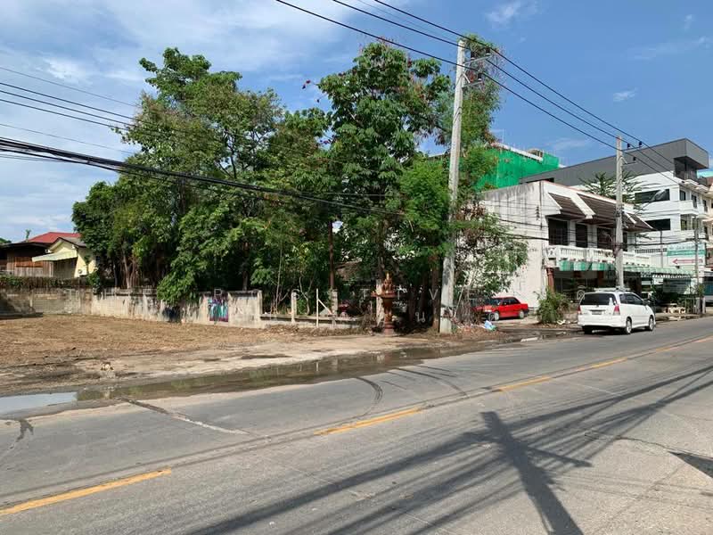 ที่ดิน 199 ตร.ว. โซนทุ่งโฮเต็ล ทำเลธุรกิจ รองรับทั้งโรงแรม คอนโด หอพัก ร้านอาหาร และออฟฟิศ, เชียงใหม่, วัดเกต, เมืองเชียงใหม่, เชียงใหม่, 796 ตร.ม., ที่ดิน ขาย, โดย The Positive ที่ดิน บ้าน คอนโด, 500340462 - DDproperty.com