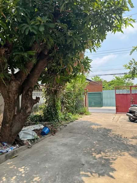 2-BR House, Bangkok, Phra Kanong Nua, Watthana, Bangkok, 2 Bedrooms, 93 sqm, Single Detached House For Rent, by Vinai Wattana, 500340470 - DDproperty.com