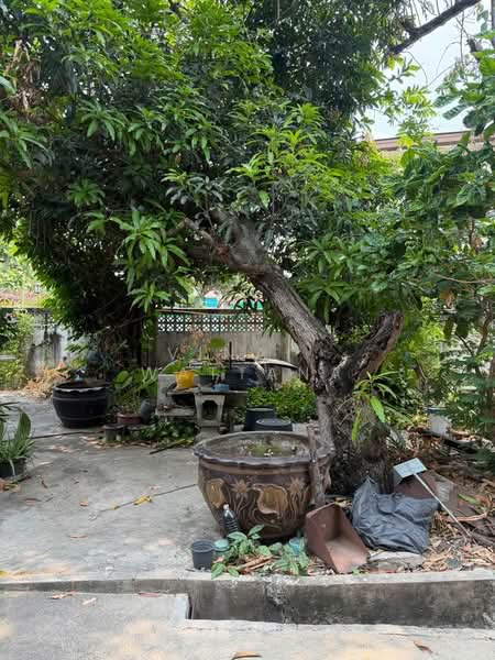 2-BR House, Bangkok, Phra Kanong Nua, Watthana, Bangkok, 2 Bedrooms, 93 sqm, Single Detached House For Rent, by Vinai Wattana, 500340470 - DDproperty.com
