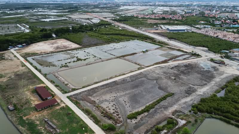 Land for sale in Chonburi, Chon Buri (Pattaya), Khlong Tamru, Muang Chon Buri, Chon Buri (Pattaya), , 107,160 sqm, Land For Sale, by Paula ., 500340532 - DDproperty.com