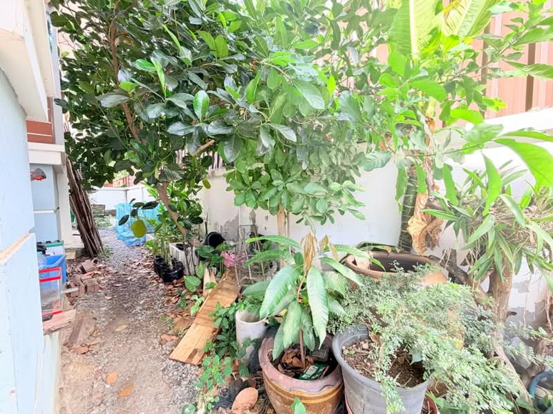 กิตตินคร อเวนิว ลาดหวาย (Kittinakorn Avenue Lad Wai), สมุทรปราการ, บางเพรียง, บางบ่อ, สมุทรปราการ, 150 ตร.ม., บ้านเดี่ยว ขาย, โดย The Best Property แก้มบุ๋ม, 500340645 - DDproperty.com