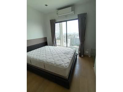 For Rent - IDEO MOBI Sukhumvit 81, Bangkok