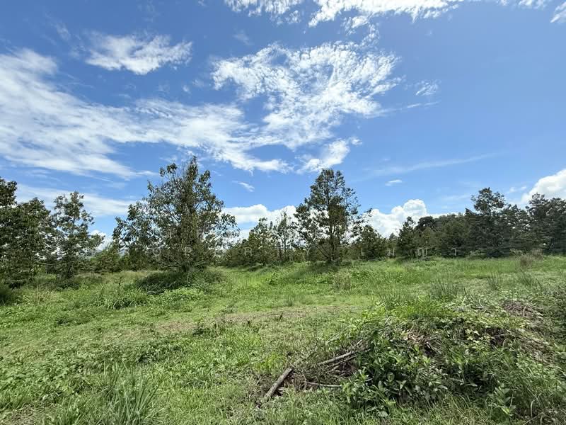 ที่ดินท่าช้าง จันทบุรี, จันทบุรี, ท่าช้าง, เมืองจันทบุรี, จันทบุรี, 2,448 ตร.ม., ที่ดิน ขาย, โดย The Best Property เมญ่า, 500340703 - DDproperty.com