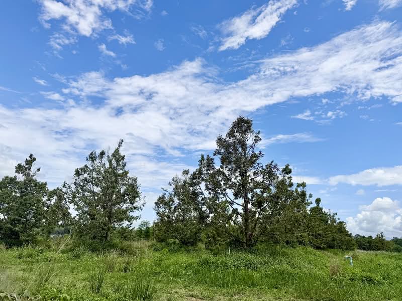ที่ดินท่าช้าง จันทบุรี, จันทบุรี, ท่าช้าง, เมืองจันทบุรี, จันทบุรี, 2,448 ตร.ม., ที่ดิน ขาย, โดย The Best Property เมญ่า, 500340703 - DDproperty.com