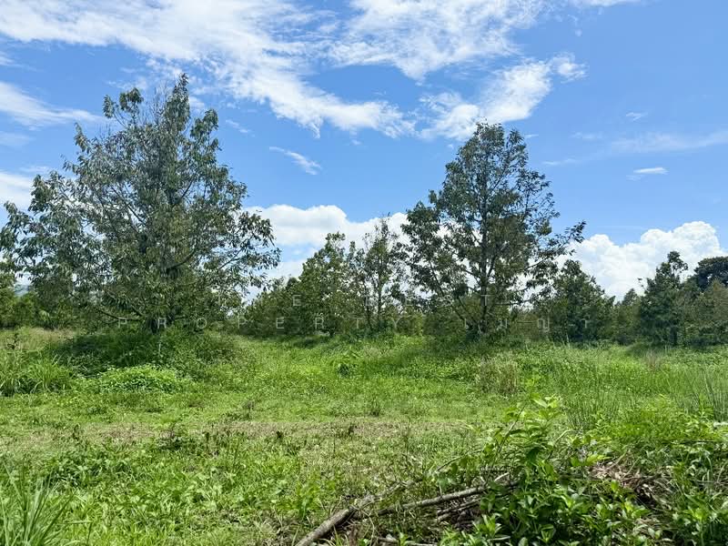ที่ดินท่าช้าง จันทบุรี, Chanthaburi, Tha Chang, Muang Chanthaburi, Chanthaburi, , 2,448 sqm, Land For Sale, by The Best Property เมญ่า, 500340703 - DDproperty.com