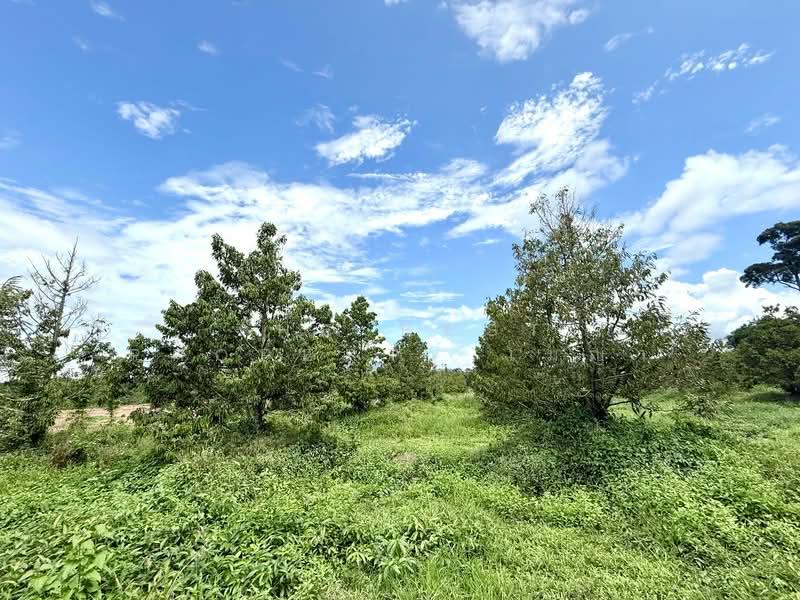 ที่ดินท่าช้าง จันทบุรี, จันทบุรี, ท่าช้าง, เมืองจันทบุรี, จันทบุรี, 2,448 ตร.ม., ที่ดิน ขาย, โดย The Best Property เมญ่า, 500340703 - DDproperty.com