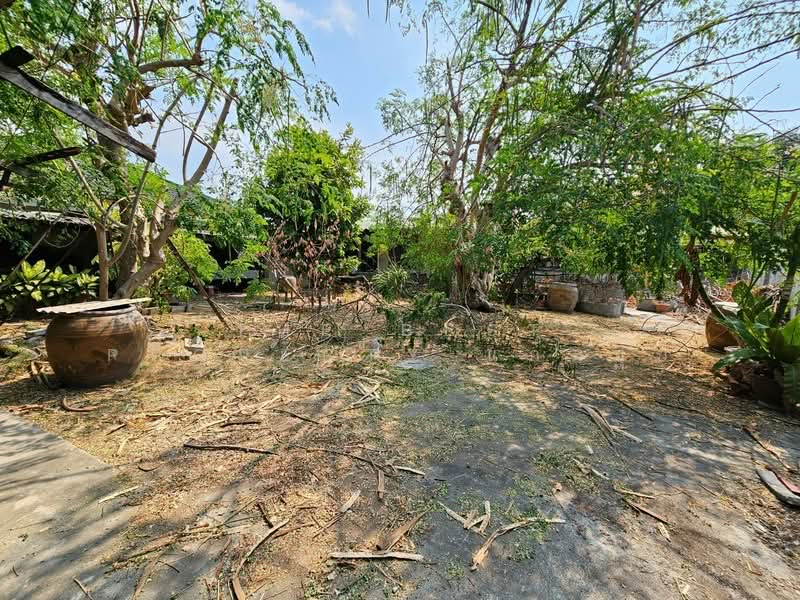 บ้านเดี่ยวพร้อมที่ดินบ้านสวน ชลบุรี, Chon Buri (Pattaya), Ban Suan, Muang Chon Buri, Chon Buri (Pattaya), 4 Bedrooms, 150 sqm, Single Detached House For Sale, by The Best Property แก้มยุ้ย, 500340769 - DDproperty.com