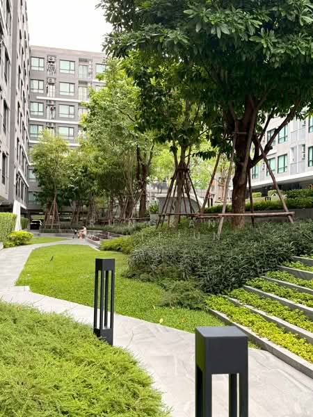 The Origin Sukhumvit 105, กรุงเทพ, 818 Sukhumvit 105 Alley, บางนา, กรุงเทพ, 28 ตร.ม., คอนโด ขาย, โดย Rungkan Wijitjun, 500340829 - DDproperty.com