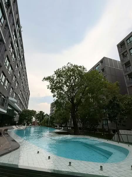 The Origin Sukhumvit 105, กรุงเทพ, 818 Sukhumvit 105 Alley, บางนา, กรุงเทพ, 28 ตร.ม., คอนโด ขาย, โดย Rungkan Wijitjun, 500340829 - DDproperty.com