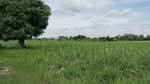 ที่ดินนาบ่อคำ กำแพงเพชร, กำแพงเพชร