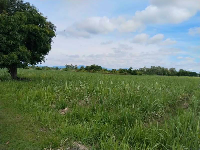 ที่ดินนาบ่อคำ กำแพงเพชร, Kamphaeng Phet, Na Bo Kham, Muang Kamphaeng Phet, Kamphaeng Phet, , 24,916 sqm, Land For Sale, by The Best Property รัตน์, 500340844 - DDproperty.com