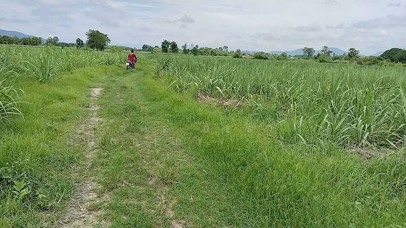 ที่ดินนาบ่อคำ กำแพงเพชร, Kamphaeng Phet, Na Bo Kham, Muang Kamphaeng Phet, Kamphaeng Phet, , 24,916 sqm, Land For Sale, by The Best Property รัตน์, 500340844 - DDproperty.com