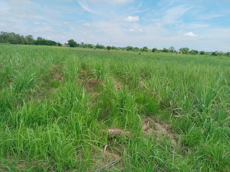 ที่ดินนาบ่อคำ กำแพงเพชร, Kamphaeng Phet, Na Bo Kham, Muang Kamphaeng Phet, Kamphaeng Phet, , 24,916 sqm, Land For Sale, by The Best Property รัตน์, 500340844 - DDproperty.com
