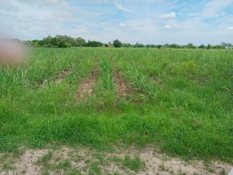 ที่ดินนาบ่อคำ กำแพงเพชร, Kamphaeng Phet, Na Bo Kham, Muang Kamphaeng Phet, Kamphaeng Phet, , 24,916 sqm, Land For Sale, by The Best Property รัตน์, 500340844 - DDproperty.com
