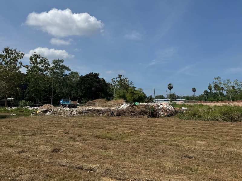 ให้เช่าที่ดินภูเก็ตระยะยาว ถลาง–ศรีสุนทร 3 ไร่ 76.4 ตร.วา ทำเลศักยภาพ รองรับธุรกิจทุกประเภท, ภูเก็ต, เทพกระษัตรี, ถลาง, ภูเก็ต, 5,104 ตร.ม., ที่ดิน ให้เช่า, โดย คุณพีช, 500341065 - DDproperty.com