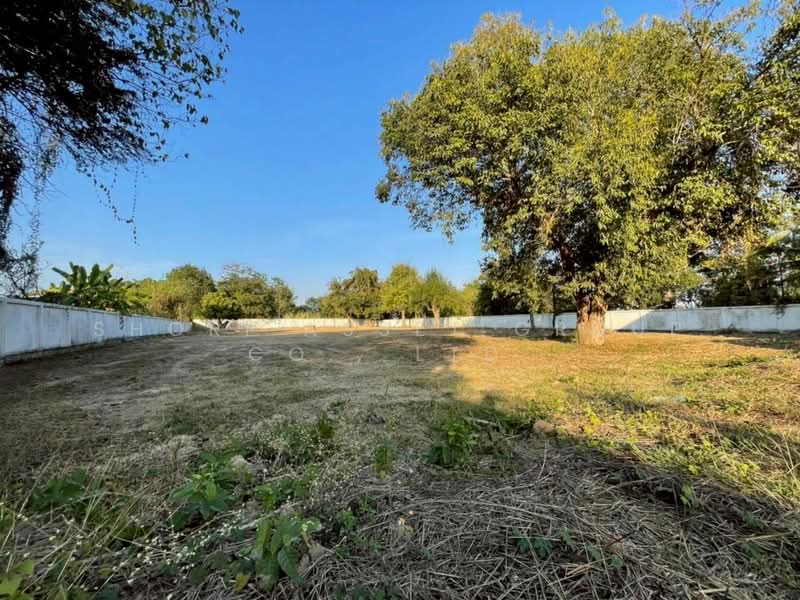 Land for sale with warehouse in San Kamphaeng, Chiang Mai, Sae Chang, San Kamphaeng, Chiang Mai, , 6,400 sqm, Land For Sale, by Shori Asset Group Co., Ltd., 500341256 - DDproperty.com