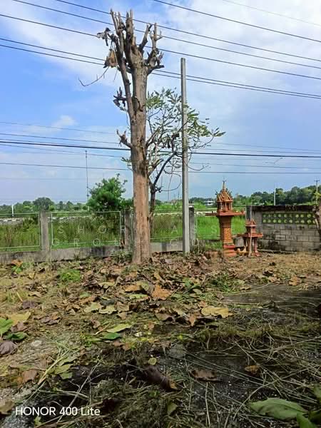Land for sale with warehouse in San Kamphaeng, Chiang Mai, Sae Chang, San Kamphaeng, Chiang Mai, , 3,648 sqm, Land For Sale, by Shori Asset Group Co., Ltd., 500341279 - DDproperty.com