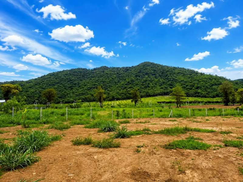 ขายที่ดินพร้อมทำบ้านสวน 1 ไร่ ท่าคล้อ แก่งคอย สระบุรี ถมแล้ว มีบ่อน้ำ ราคาไม่ถึงล้าน, สระบุรี, ท่าคล้อ, แก่งคอย, สระบุรี, 1,600 ตร.ม., ที่ดิน ขาย, โดย ฉัตรลักษณ์ เย็นเปิง, 500341505 - DDproperty.com