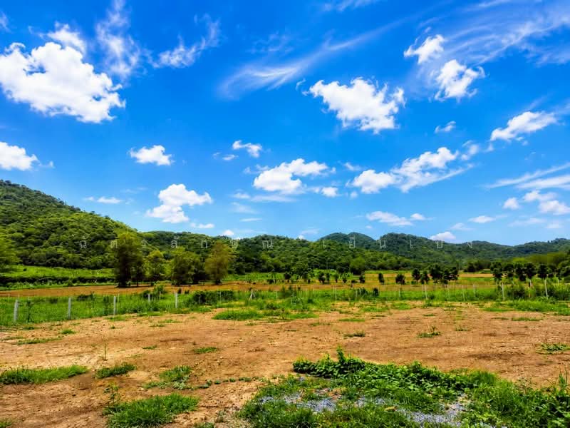 ขายที่ดินพร้อมทำบ้านสวน 1 ไร่ ท่าคล้อ แก่งคอย สระบุรี ถมแล้ว มีบ่อน้ำ ราคาไม่ถึงล้าน, สระบุรี, ท่าคล้อ, แก่งคอย, สระบุรี, 1,600 ตร.ม., ที่ดิน ขาย, โดย ฉัตรลักษณ์ เย็นเปิง, 500341505 - DDproperty.com