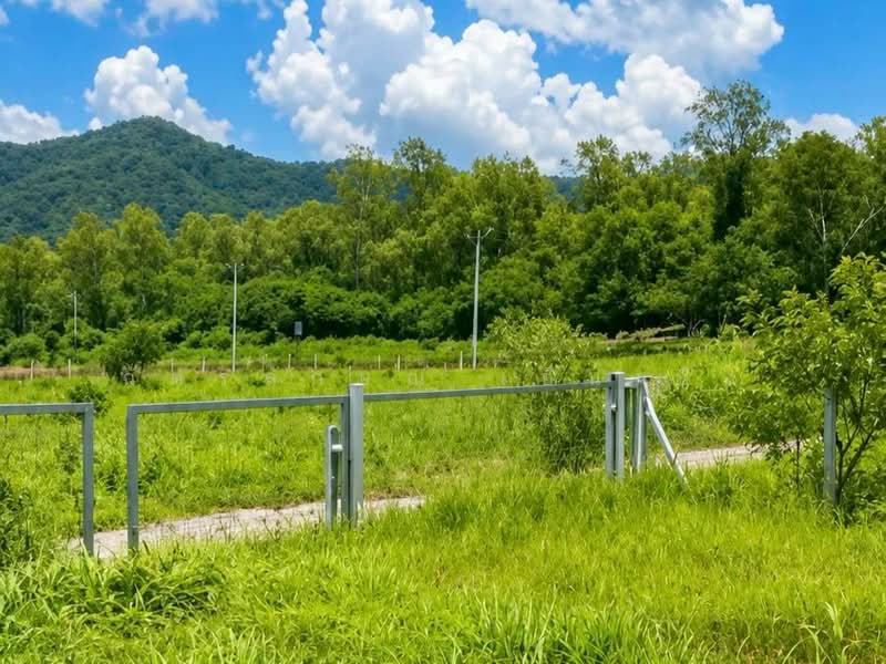 ขายที่ดินพร้อมทำบ้านสวน 1 ไร่ ท่าคล้อ แก่งคอย สระบุรี ถมแล้ว มีบ่อน้ำ ราคาไม่ถึงล้าน, Saraburi, Tha Khlo, Kaeng Khoi, Saraburi, , 1,600 sqm, Land For Sale, by ฉัตรลักษณ์ เย็นเปิง, 500341505 - DDproperty.com