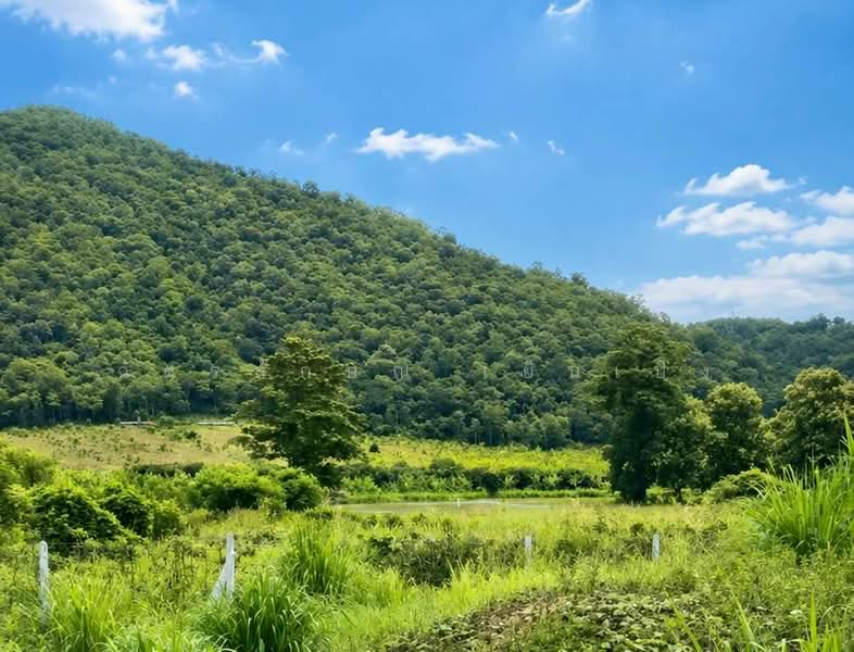 ขายที่ดินพร้อมทำบ้านสวน 1 ไร่ ท่าคล้อ แก่งคอย สระบุรี ถมแล้ว มีบ่อน้ำ ราคาไม่ถึงล้าน, สระบุรี, ท่าคล้อ, แก่งคอย, สระบุรี, 1,600 ตร.ม., ที่ดิน ขาย, โดย ฉัตรลักษณ์ เย็นเปิง, 500341505 - DDproperty.com
