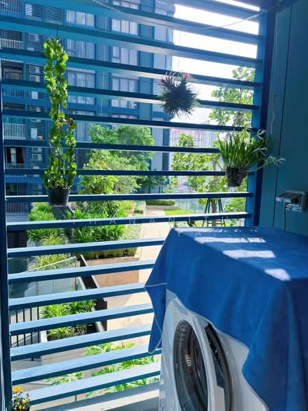 XT Phayathai, Bangkok, Phaya Thai Road, Thanon Phaya Thai, Ratchathewi, Bangkok, 1 Bedroom, 33 sqm, Condo For Rent, by Thananith Ittitulyapong, 500341538 - DDproperty.com