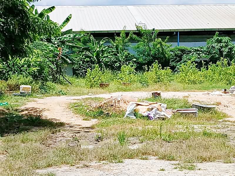 ที่ดินบางพลี สมุทรปราการ, สมุทรปราการ, บางแก้ว, บางพลี, สมุทรปราการ, 1,600 ตร.ม., ที่ดิน ขาย, โดย The Best Property แอ๊ด, 500341594 - DDproperty.com