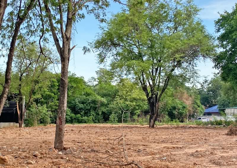 ที่ดินชุมแพ ขอนแก่น, Khon Kaen, Nong Phai, Chum Phae, Khon Kaen, , 388 sqm, Land For Sale, by The Best Property ต้นอ้อ, 500341687 - DDproperty.com
