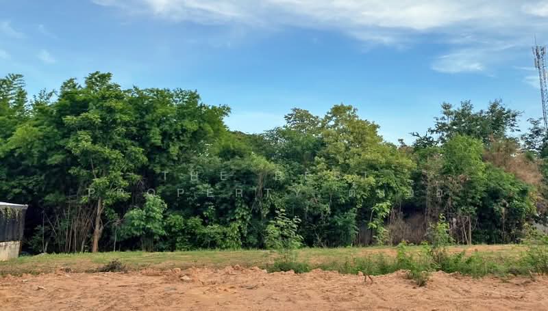 ที่ดินชุมแพ ขอนแก่น, Khon Kaen, Nong Phai, Chum Phae, Khon Kaen, , 388 sqm, Land For Sale, by The Best Property ต้นอ้อ, 500341687 - DDproperty.com