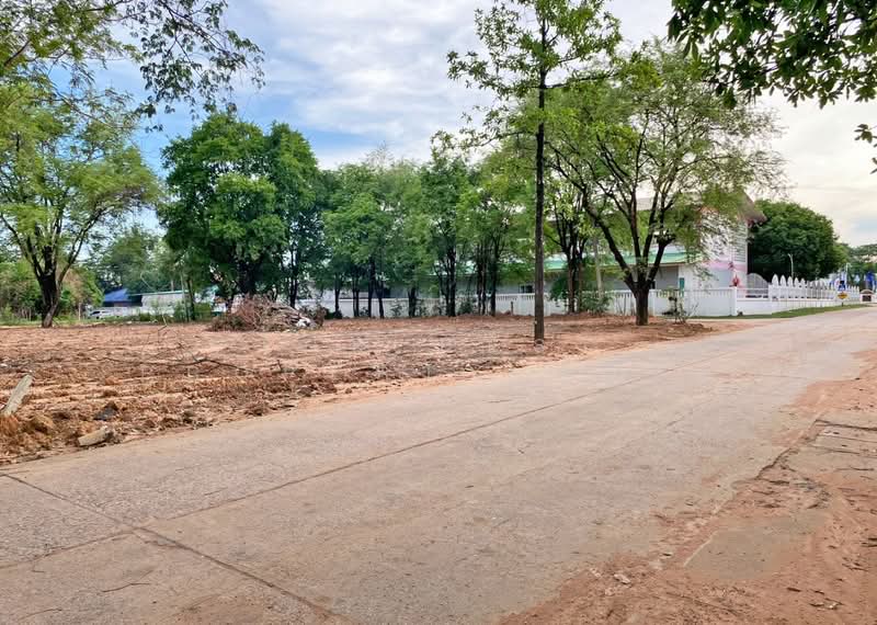 ที่ดินชุมแพ ขอนแก่น, Khon Kaen, Nong Phai, Chum Phae, Khon Kaen, , 388 sqm, Land For Sale, by The Best Property ต้นอ้อ, 500341687 - DDproperty.com