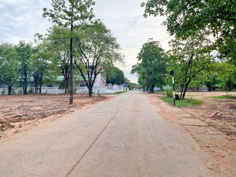 ที่ดินชุมแพ ขอนแก่น, Khon Kaen, Nong Phai, Chum Phae, Khon Kaen, , 388 sqm, Land For Sale, by The Best Property ต้นอ้อ, 500341687 - DDproperty.com