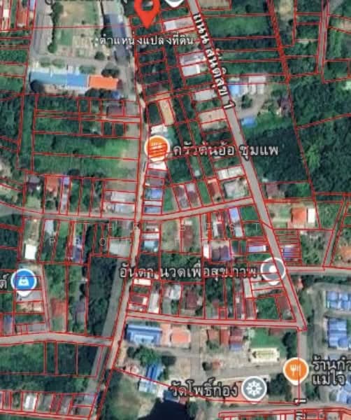 ที่ดินชุมแพ ขอนแก่น, Khon Kaen, Nong Phai, Chum Phae, Khon Kaen, , 388 sqm, Land For Sale, by The Best Property ต้นอ้อ, 500341687 - DDproperty.com