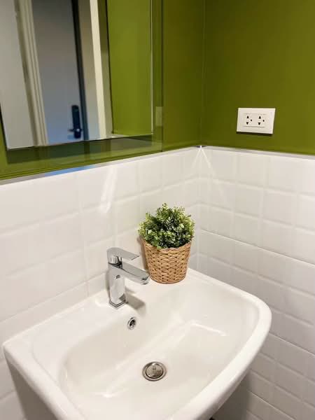 The Base Central, Phuket, Chao Fah Tawan Tok Rd, Wichit, Muang Phuket, Phuket, 1 Bedroom, 30 sqm, Condo For Rent, by MeiMei Prime, 500341785 - DDproperty.com