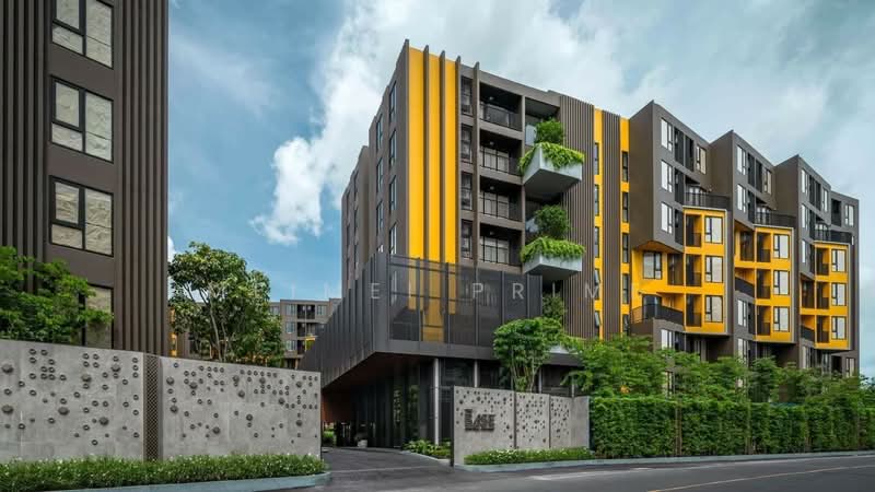 The Base Central, Phuket, Chao Fah Tawan Tok Rd, Wichit, Muang Phuket, Phuket, 1 Bedroom, 30 sqm, Condo For Rent, by MeiMei Prime, 500341785 - DDproperty.com