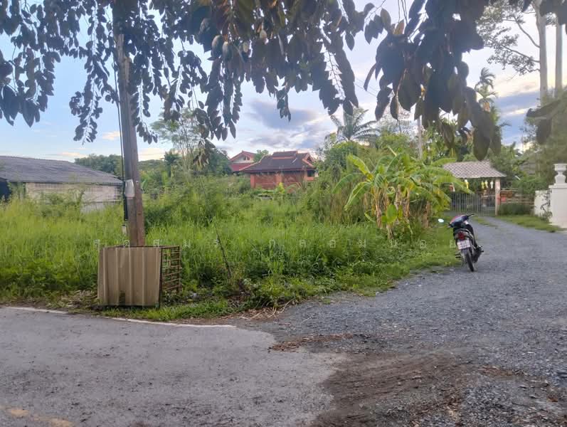 ขายที่ดิน 125 ตรว. ทำเลดีติดถนน เดินทางสะดวก ใกล้แหล่งชุมชน, Chiang Mai, San Pu Loei, Doi Saket, Chiang Mai, , 500 sqm, Land For Sale, by สุดสมร กล่อมน้อย, 500341806 - DDproperty.com