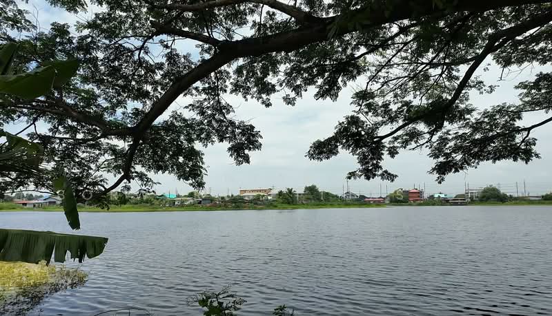 ตำบลไทรน้อย อำเภอไทรน้อย จังหวัดนนทบุรี, Nonthaburi, Sai Noi, Nonthaburi, , 736 sqm, Warehouse/Factory For Sale, by Kanyarak Borwornsetthaskul, 500341834 - DDproperty.com