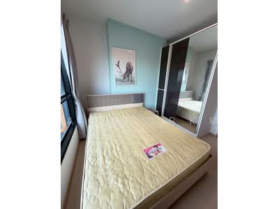 For Rent - The Tree Sukhumvit 71-Ekamai, Bangkok