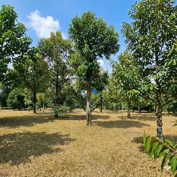 ที่ดินเขาคิชฌกูฏ จันทบุรี, Chanthaburi, Khlong Plu, Kao Kichakut, Chanthaburi, , 16,896 sqm, Land For Sale, by The Best Property อ้อม, 500342040 - DDproperty.com