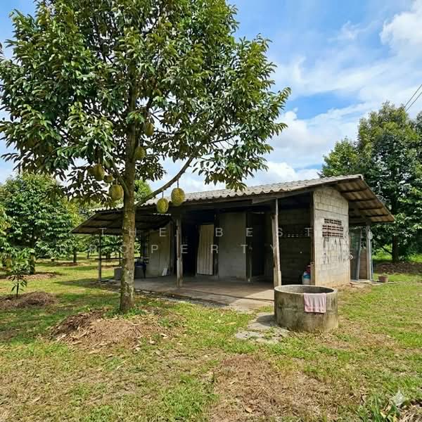 ที่ดินเขาคิชฌกูฏ จันทบุรี, Chanthaburi, Khlong Plu, Kao Kichakut, Chanthaburi, , 16,896 sqm, Land For Sale, by The Best Property อ้อม, 500342040 - DDproperty.com