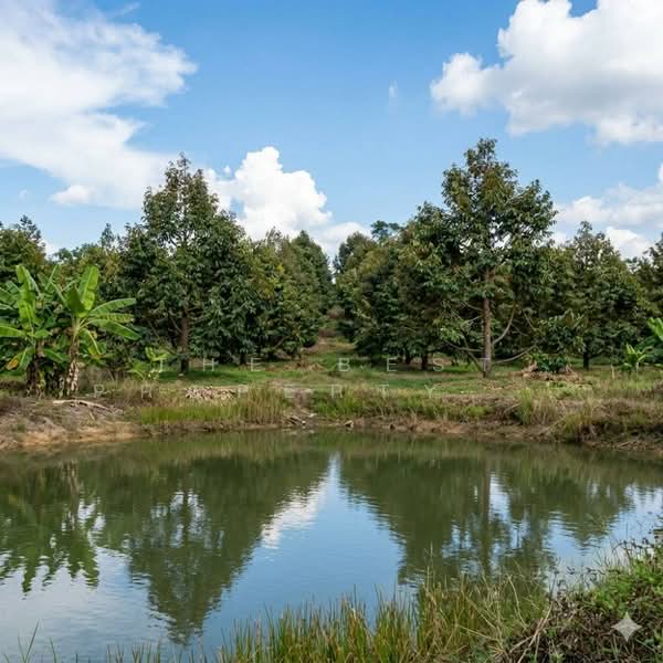 ที่ดินเขาคิชฌกูฏ จันทบุรี, Chanthaburi, Khlong Plu, Kao Kichakut, Chanthaburi, , 16,896 sqm, Land For Sale, by The Best Property อ้อม, 500342040 - DDproperty.com