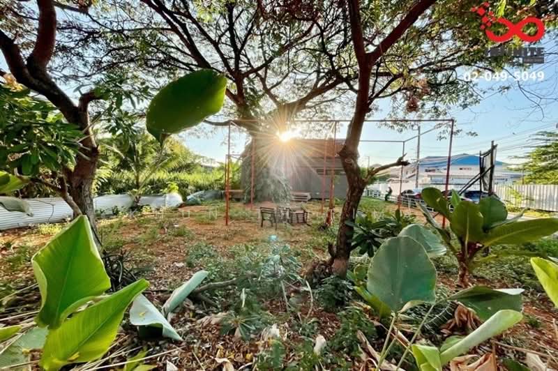 ็House Ladprao 81, Bangkok, Khlong Chaokhun Sing, Wang Thonglang, Bangkok, 1 Bedroom, 114 sqm, Single Detached House For Sale, by Khun Thitima, 500342053 - DDproperty.com