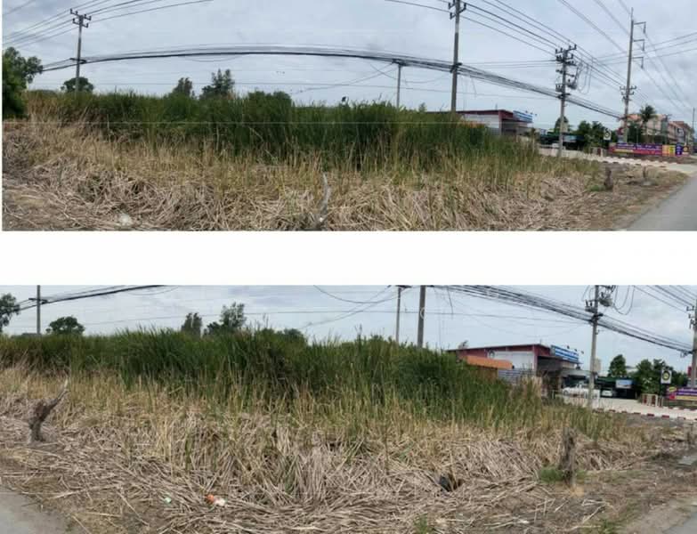รูปสี่เหลี่ยมผืนผ้า หน้ากว้าง 42.00 เมตร, Phra Nakhon Si Ayutthaya, Ban Sang, Bang Pa-In, Phra Nakhon Si Ayutthaya, , 8,008 sqm, Land For Sale, by ERA Holding (Thailand) Co., Ltd., 500342084 - DDproperty.com